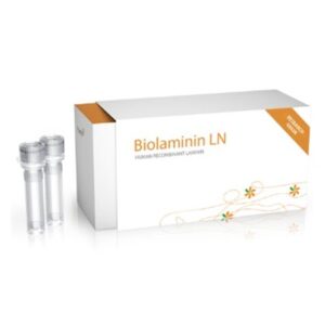 Biolamina/Biolaminin 111 LN (LN111) - 1 ml