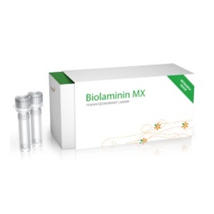 Biolamina/Biolaminin 521 MX (MX521)