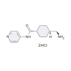 Y-27632 (GMP) - 10mg