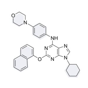 Purmorphamine - 10mg