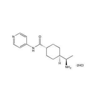 Y-27632 dihydrochloride | ROCK family kinase inhibitor - 25mg