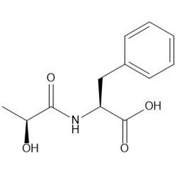 Lactoyl phenylalanine | Anorexigenic circulating metabolite - 25mg