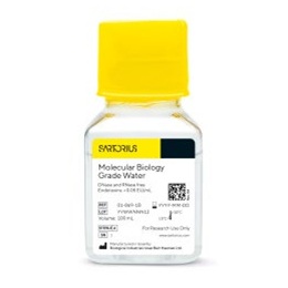 Molecular Biology Grade Water (DNase and RNase-free)