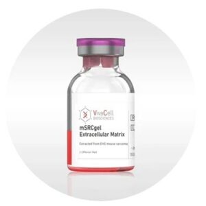 mSRCgel™ Extracellular Matrix extracted from EHS mouse sarcoma [+] Phenol Red