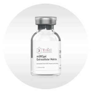 mSRCgel™ Extracellular Matrix extracted from EHS mouse sarcoma [-] Phenol Red
