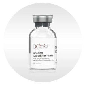 mSRCgel™ Extracellular Matrix, High Protein Concentration extracted from EHS mouse sarcoma [-] Phenol Red