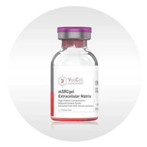 mSRCgel™ Extracellular Matrix, High Protein Concentration, Reduced Growth Factor extracted from EHS mouse sarcoma [+] Phenol Red