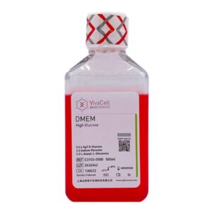 Dulbecco's Modified Eagle Medium (DMEM) with 4.5g/L D-Glucose (High Glucose), with L-Alanyl-L-Glutamine, with Sodium Pyruvate