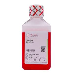 DMEM, High Glucose, with Sodium Pyruvate, with L-Glutamine