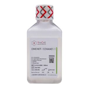 DMEM/F12 1:1 mixture, with L-Glutamine, Sodium Pyruvate, HEPES, without Phenol Red