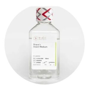 Grace's Insect Cell Medium, with L-Glutamine