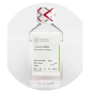 Transfα-MEM Reduced Serum Medium