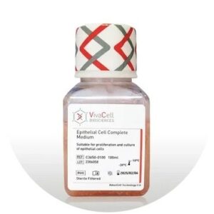 Epithelial Cell Complete Medium