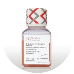 Endothelial Cell Complete Medium