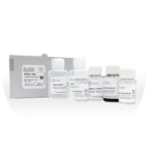 MSC Adipo-Staining Kit