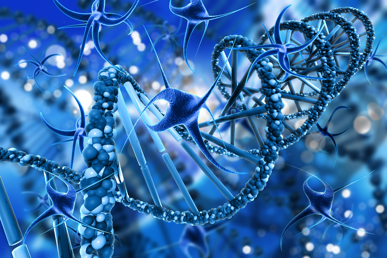 Mesenchymal Stem Cells (MSCs): The Foundation of Modern Regenerative ...